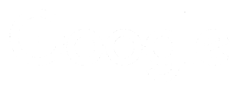 Logo Google